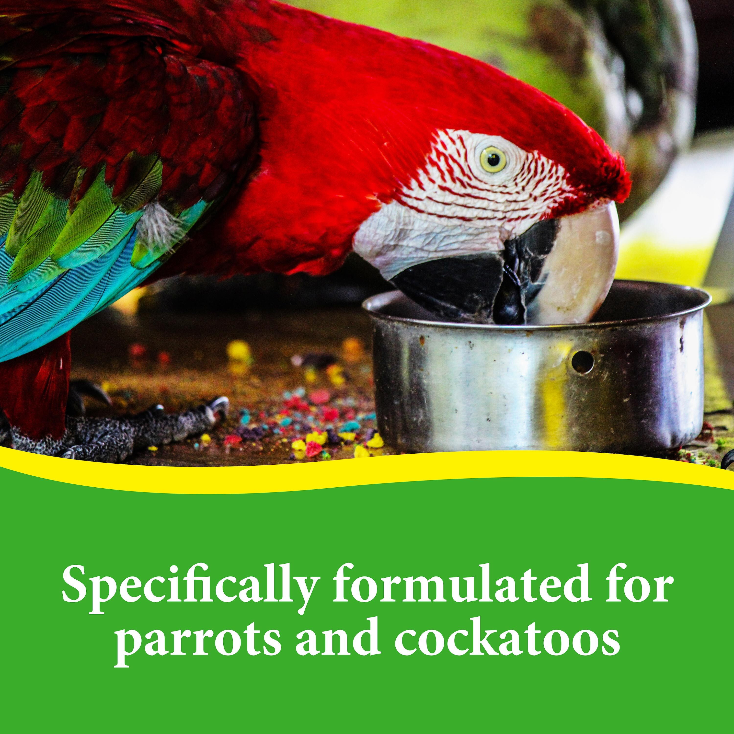 Premium Parrot Seeds: 8lb Bag by 3-D Pet Products