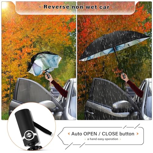 Women's Windproof Folding Umbrella - Sun & Rain