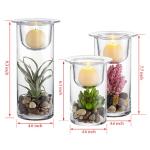 Decorative Glass Candle Holders with Succulents Set