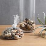 Decorative Glass Candle Holders with Succulents Set