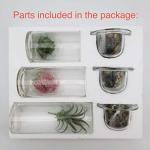 Decorative Glass Candle Holders with Succulents Set