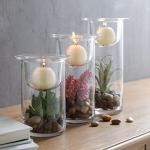 Decorative Glass Candle Holders with Succulents Set