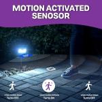 2-in-1 Solar Bug Zapper & Flood Light