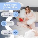 Contour Swan Body Pillow | Cozy Support for Side Sleepers