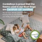CordaRoy's Convertible Chenille Bean Bag Chair - Moss