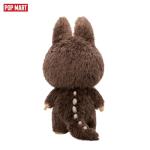 Labubu I Found You Vinyl Face Doll 22.8