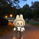 Labubu V1 V2 Doll Hoodie and Pants Set