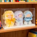 Labubu Acrylic Display Case for POP MART Dolls