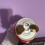Coca-Cola Labubu Plush Toy - Soda Can Design