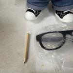 Labubu The Monsters Flip With Me Plush Doll