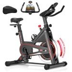 8732B DMASUN Heimtrainer Fahrrad mit Magnetischem Widerstand, Ergometer Hometrainer Fahrrad mit LCD-Monitor, Kardio Training Cycling Bike Indoor, Fitnessbike 160 kg Belastbar