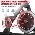 8732B DMASUN Heimtrainer Fahrrad mit Magnetischem Widerstand, Ergometer Hometrainer Fahrrad mit LCD-Monitor, Kardio Training Cycling Bike Indoor, Fitnessbike 160 kg Belastbar