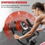 8732B DMASUN Heimtrainer Fahrrad mit Magnetischem Widerstand, Ergometer Hometrainer Fahrrad mit LCD-Monitor, Kardio Training Cycling Bike Indoor, Fitnessbike 160 kg Belastbar