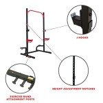 Sunny Health & Fitness Power Zone Kniebeugenständer, Power Rack Cage für Zuhause mit Spotter-Armen, J-Haken, verstellbarer Klimmzugstange - SF-XF9931