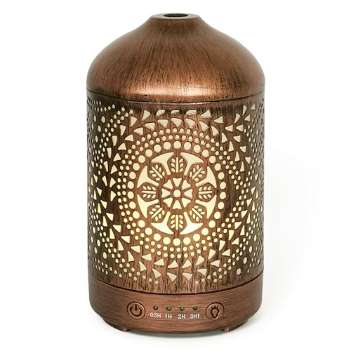 Earnest Living Aroma-Diffuser ätherische Öle, Raum-Luftbefeuchter Schlafzimmer mit Timer-Funktion, Lufterfrischer Wohnung mit 7 Licht-Modi, Duftöl Diffuser elektrisch aus Metall, 100ml