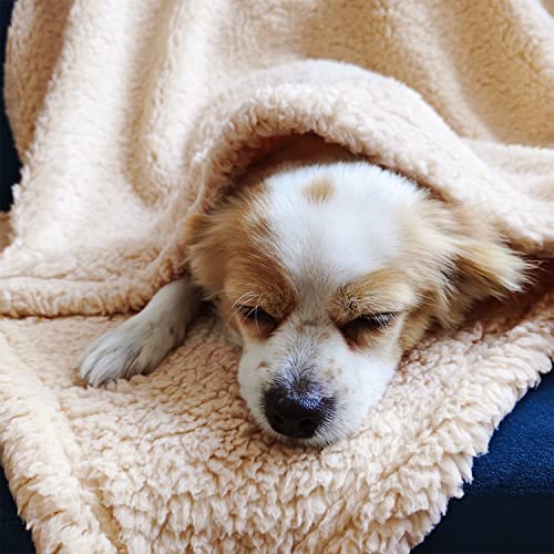 Soft Fluffy Dog Blanket, 80x60cm, Machine Washable