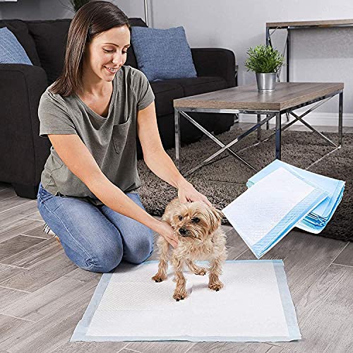 Super Absorbent Fast Drying Puppy Training Pads (30 Pack)