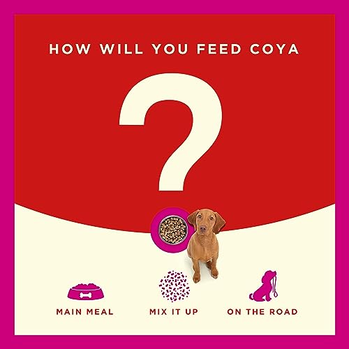 COYA Freeze-Dried Raw Dog Food, Pork (150g)