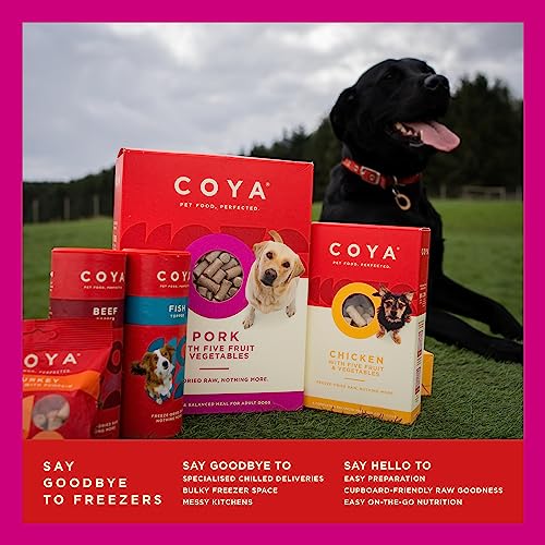 COYA Freeze-Dried Raw Dog Food, Pork (150g)