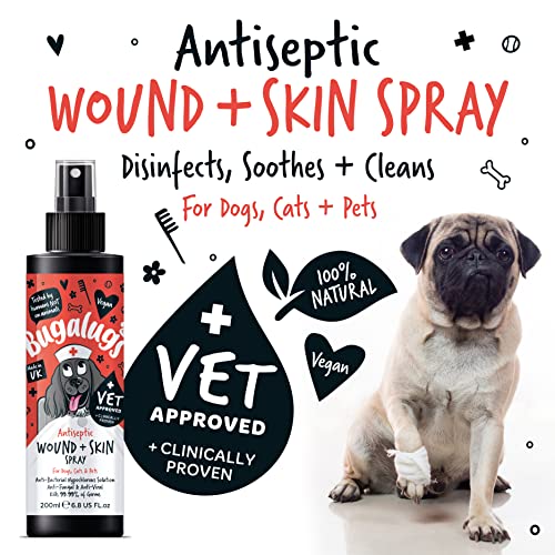 Wound & Skin Antiseptic Spray for Itchy Dogs