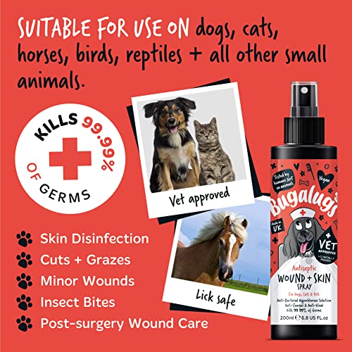 Wound & Skin Antiseptic Spray for Itchy Dogs