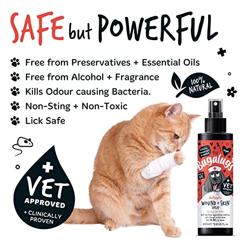 Wound & Skin Antiseptic Spray for Itchy Dogs