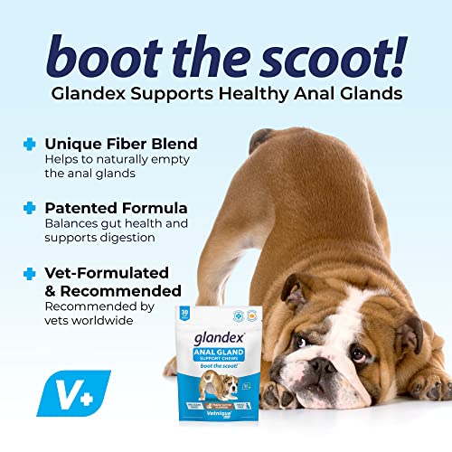 Glandex Digestive Enzyme & Probiotic Soft Chews (30ct)