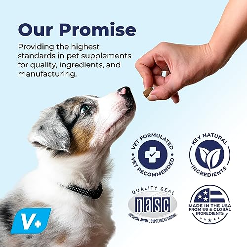 Glandex Digestive Enzyme & Probiotic Soft Chews (30ct)