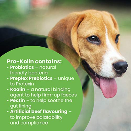 Protexin Pro-Kolin Gut Support Paste - 30ml + Syringe