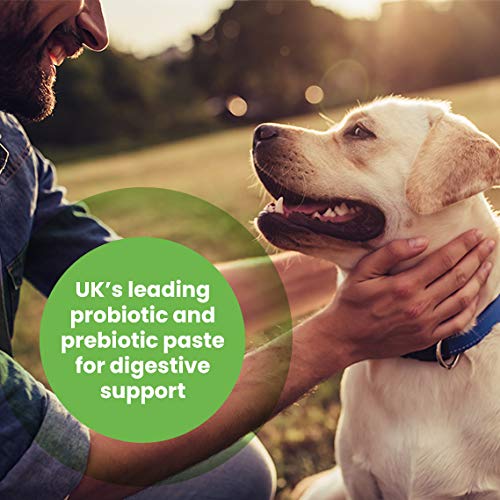 Protexin Pro-Kolin Gut Support Paste - 30ml + Syringe