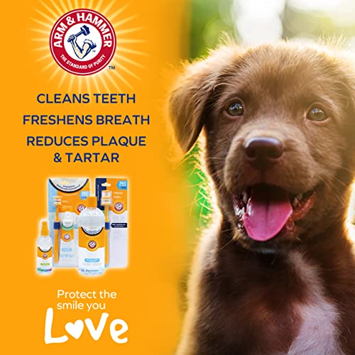 Coconut Mint Dental Spray for Dogs, Plaque Removal