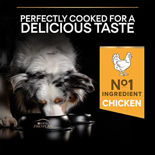 PRO PLAN® Medium Adult Chicken Dog Food 14kg