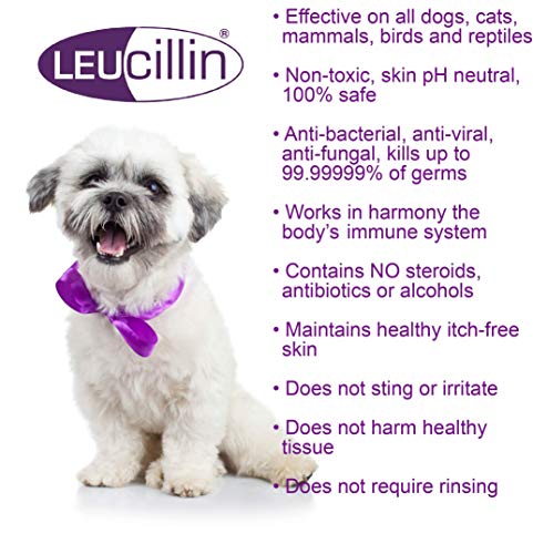 Leucillin Natural Antiseptic Spray | for Itchy Skin, Wound Care | 150ml