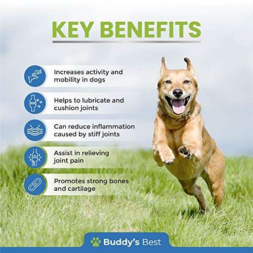 Dog Joint Aid & Relief | Fast Acting Formula | Natural | UK