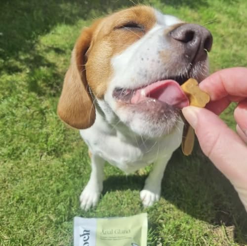 Dogs Scooch Anal Gland Supplement | Stops Scooting