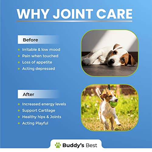 Dog Joint Aid & Relief | Fast Acting Formula | Natural | UK