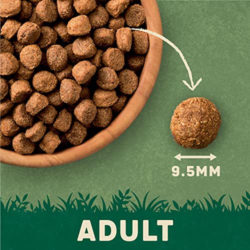 Harringtons Lamb & Rice Dog Food - 18kg