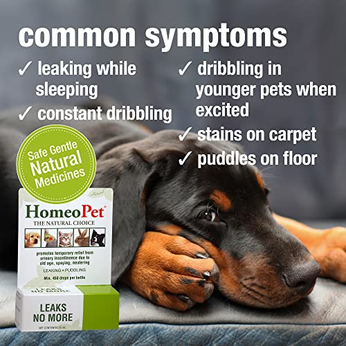 Dogs' Urinary Incontinence Relief: HomeoPet Leaks No More