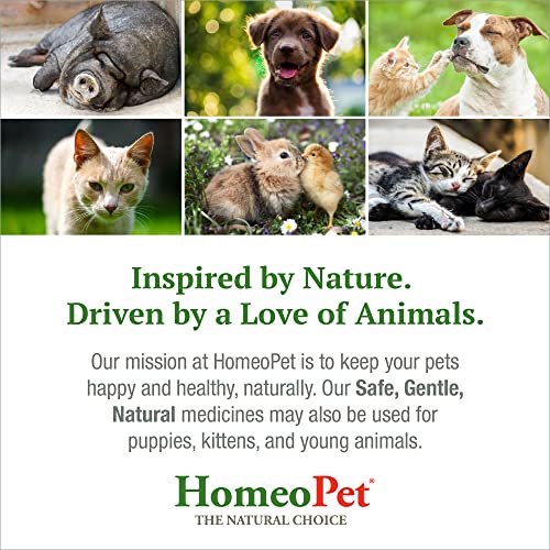 Dogs' Urinary Incontinence Relief: HomeoPet Leaks No More