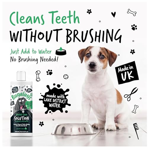 Natural Dog Dental Water Additive: Fresh Breath & Clean Teeth