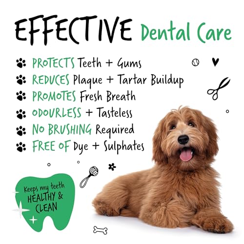 Natural Dog Dental Water Additive: Fresh Breath & Clean Teeth