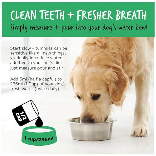 Natural Dog Dental Water Additive: Fresh Breath & Clean Teeth