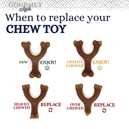 Nylabone Tough Extreme Peanut Butter Chew Toy - Medium