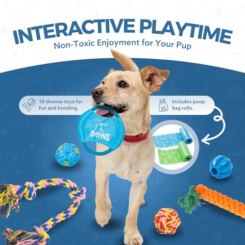 18 Pack Dog Chew Toys & Puppy Toys