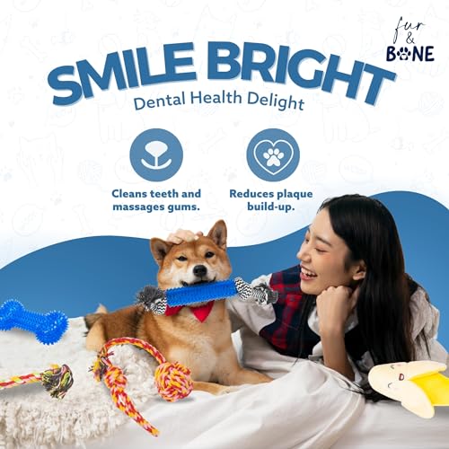 18 Pack Dog Chew Toys & Puppy Toys