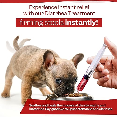 Advanced Dog Diarrhea Treatment with Electrolytes (40 Servings)