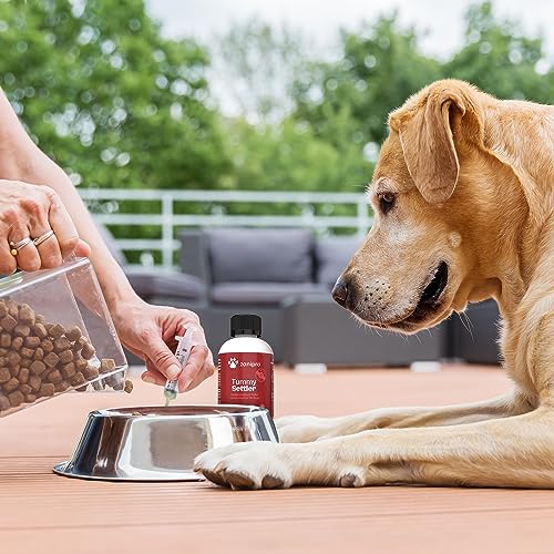 Advanced Dog Diarrhea Treatment with Electrolytes (40 Servings)