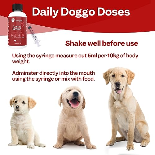 Advanced Dog Diarrhea Treatment with Electrolytes (40 Servings)