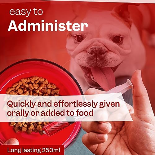 Advanced Dog Diarrhea Treatment with Electrolytes (40 Servings)