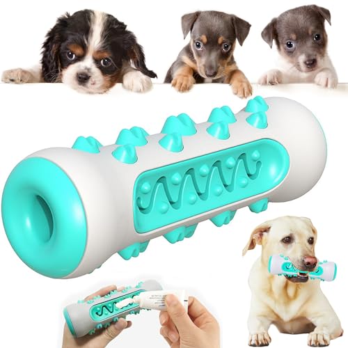 Pooch Chew Interactive Dental Entertainment Toy